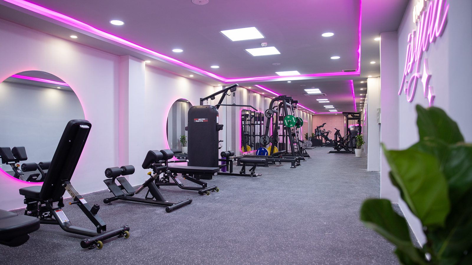 Không gian tập luyện GirlFit với máy móc hiện đại cho nữ